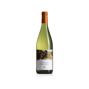 Sauvignon Toscana IGT hvidvin